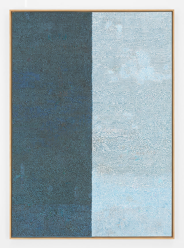 Image of SIMON EVANS's Some Game a Comfortable Web, 2016