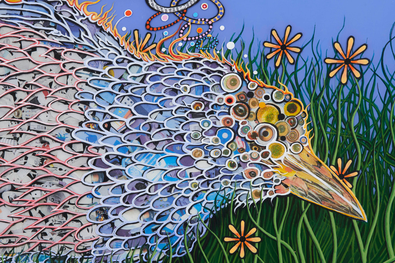 close up of a bird's face