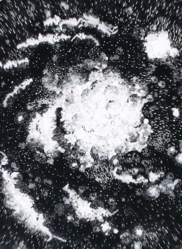 Detail of JOSIAH MCELHENY's Observation Night Two, 2019