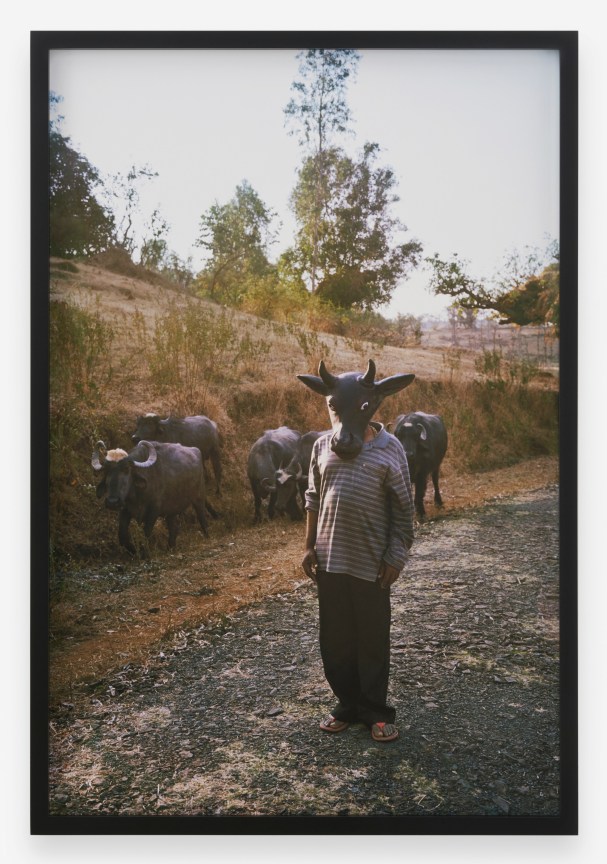 Image of GAURI GILL's Untitled (62) from Acts of Appearance, 2015-ongoing