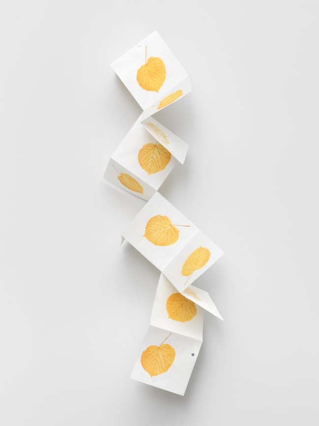 SPENCER FINCH Falling Linden Leaf