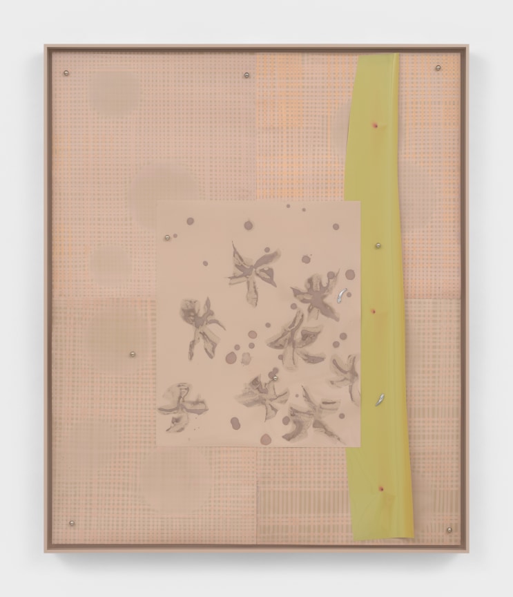 Image of LOTUS L. KANG's Mesoderm (Flora II), 2024