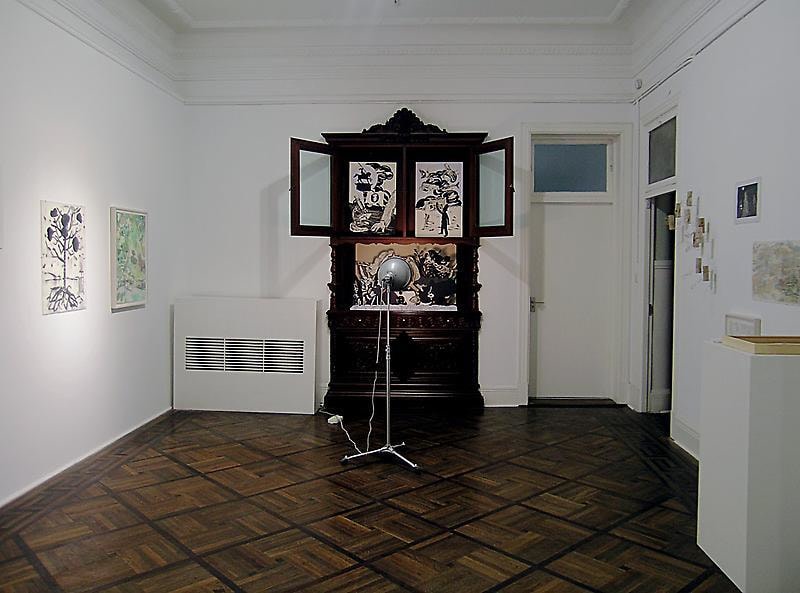 installation view