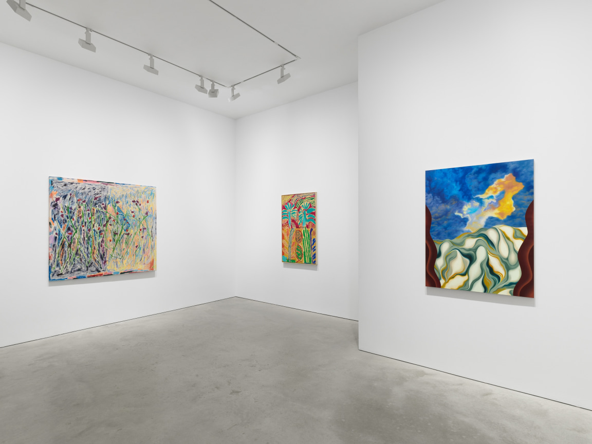 Installation view, Arcadia and Elsewhere, James Cohan, 48 Walker Street, NY, January 12 - February 10, 2024