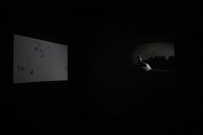 large video recordings being shown in a dark room