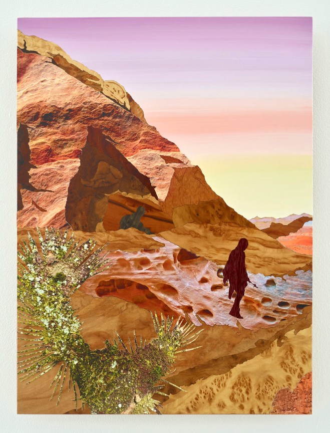 Image of ALISON ELIZABETH TAYLOR's Superbloom,&nbsp;2017