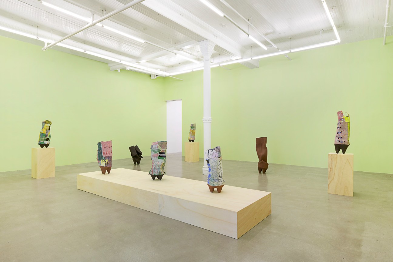 Installation view, Anima, James Cohan, 291 Grand Street, New York, May 17 - July 26, 2024.