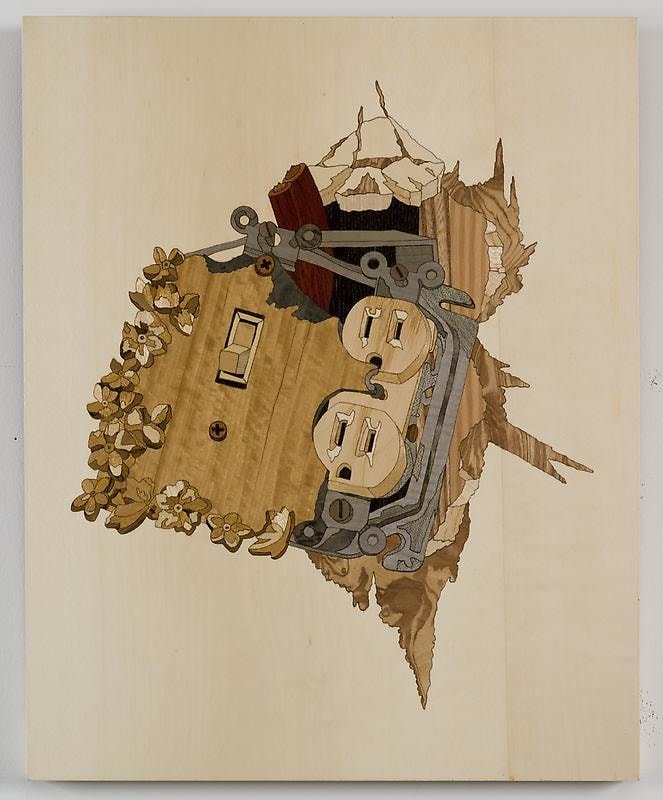 Image of ALISON ELIZABETH TAYLOR's Switch, 2009