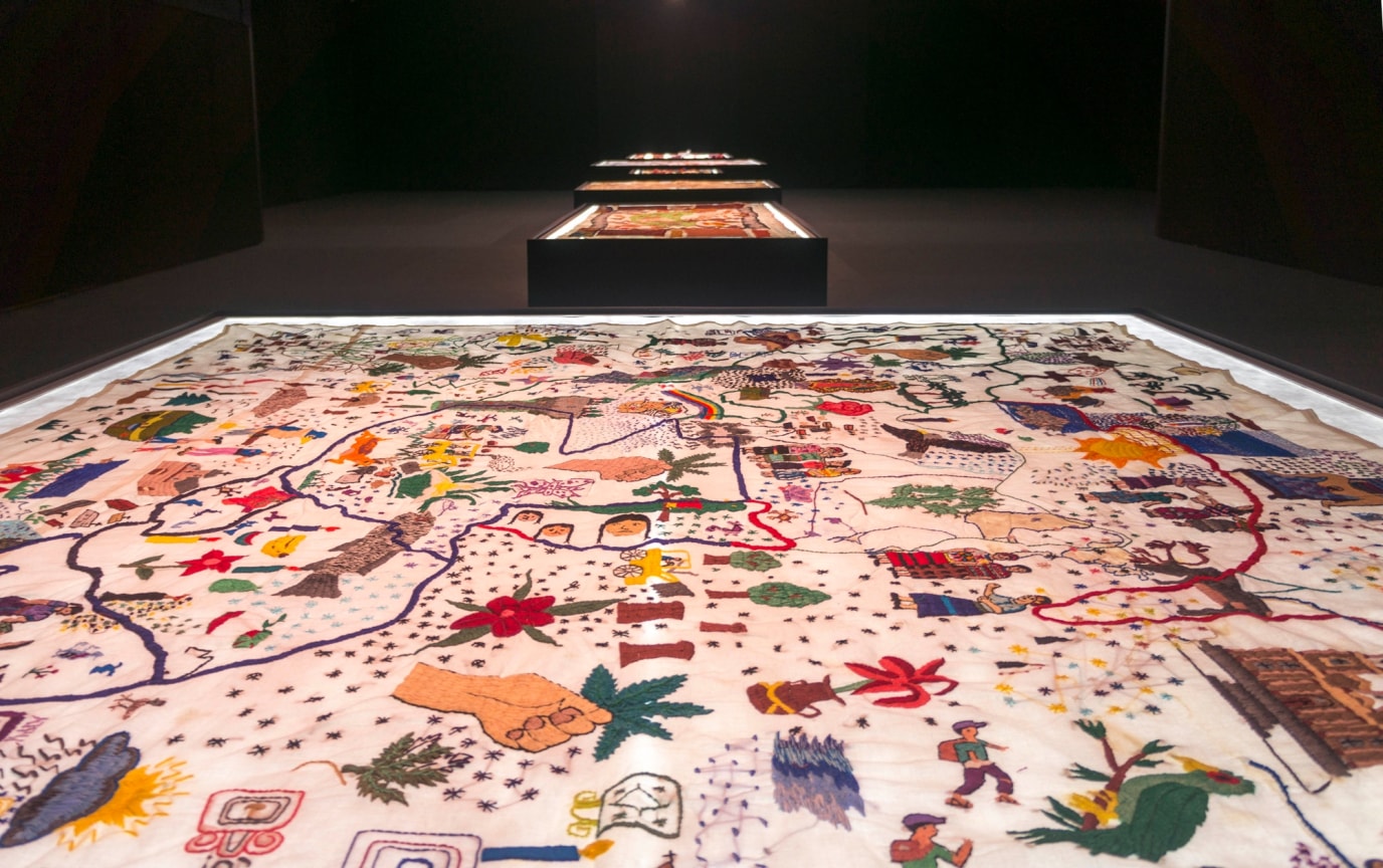 Mola on fabric permeated with blood