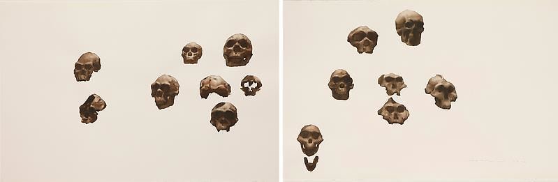 Image of GUO HONGWEI's 郭鸿蔚 Still Life #7 生物 #7, 2010