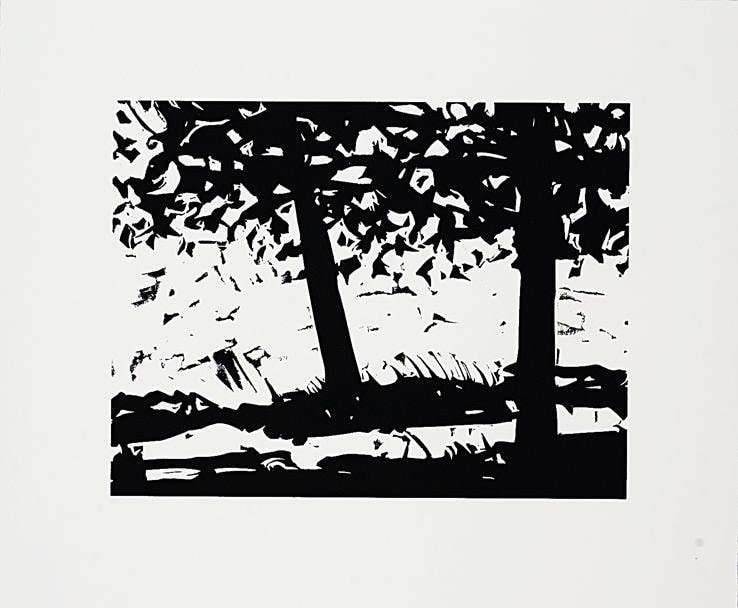 black and white landscape