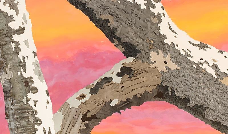 Detail of ALISON ELIZABETH TAYLOR's Cloud 10, 2012