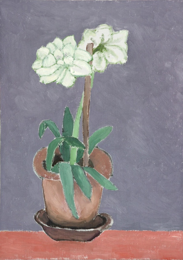 white flower growing in a pot and held up by a stick