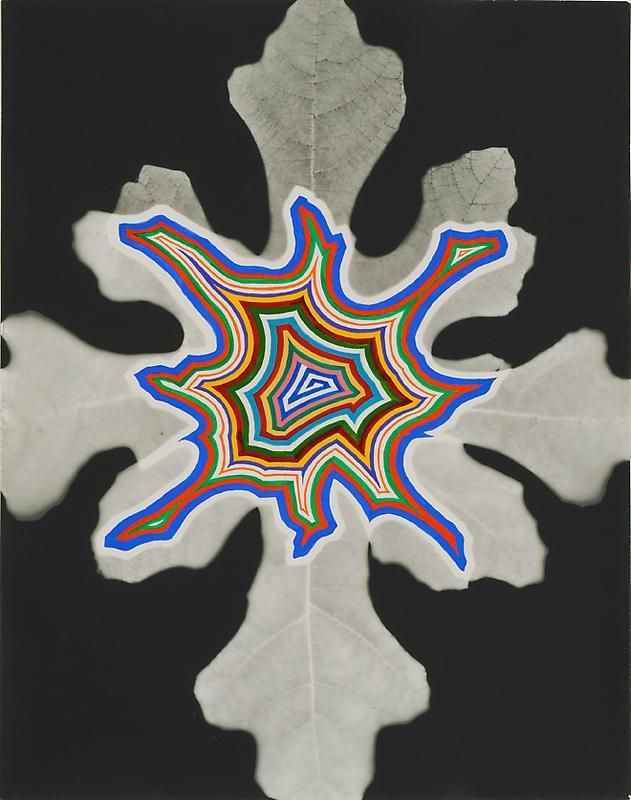 Image of FRED TOMASELLI's 弗雷德&bull;托马塞利 Bloom #2 花#2, 2011