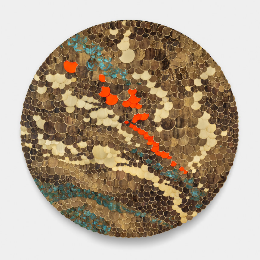 TUAN ANDREW NGUYEN, Plume, 2025