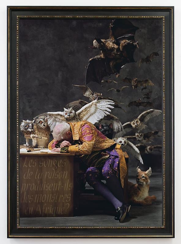 man fallen asleep at his desk with owls and bats emerging from behind