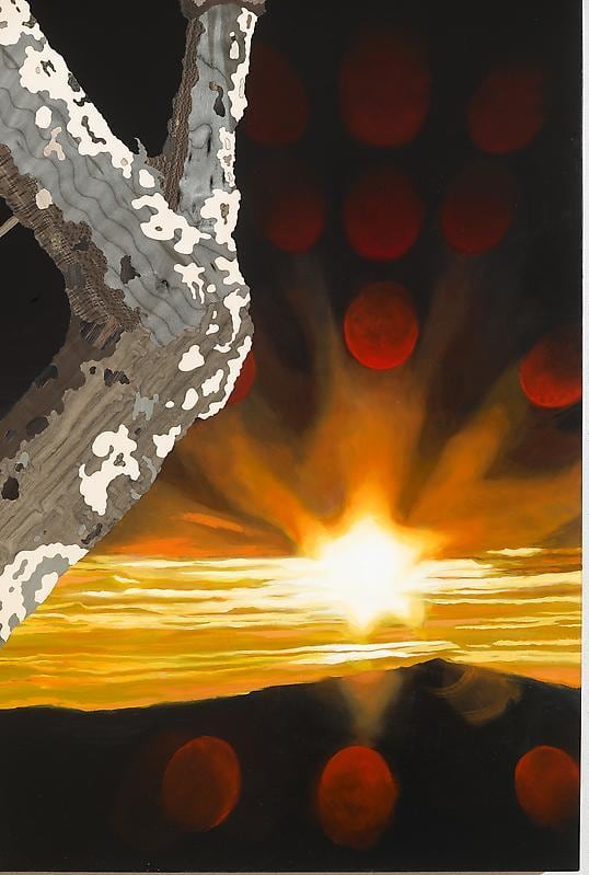 Detail of ALISON ELIZABETH TAYLOR's Transparent Eye, 2013