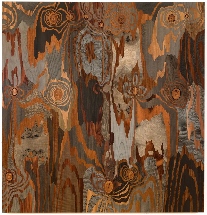 Image of ALISON ELIZABETH TAYLOR's Silver Fox,&nbsp;2013