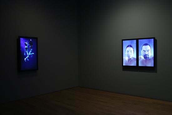 installation view