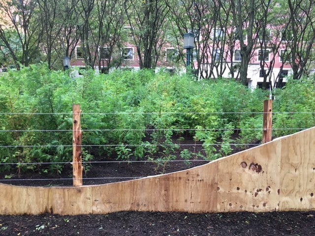 Installation View: Spencer Finch, Lost Man Creek