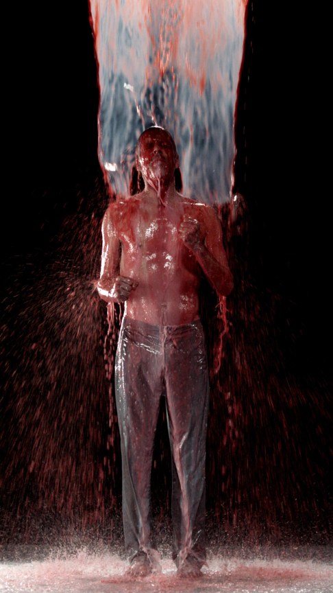 Image of BILL VIOLA's Inverted Birth,&nbsp;2014
