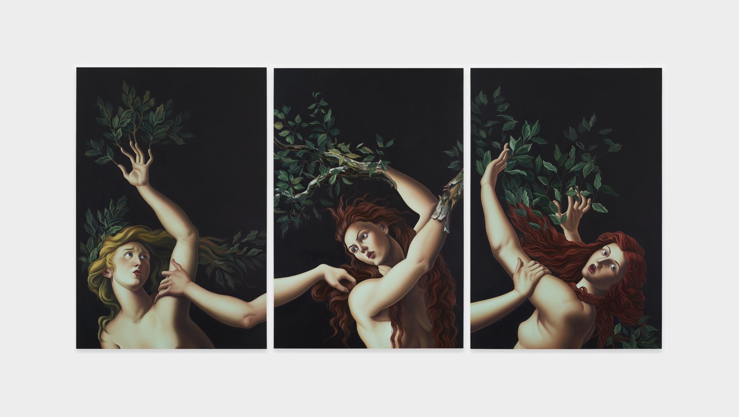 JESSE MOCKRIN, A story told this many times becomes the forest, 2025