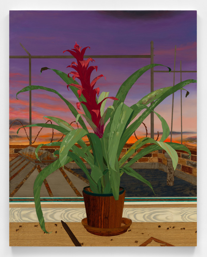 Image of ALISON ELIZABETH TAYLOR's Here&rsquo;s the Zoom Link, 2021