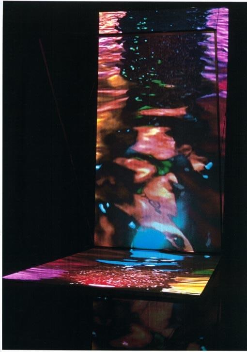 distorted reflection of a figure in a liquid surface