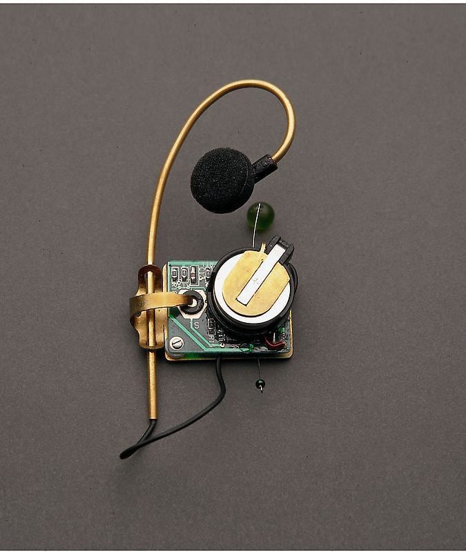 Image of LAURIE ANDERSON's Hearing 听音耳环, 1997