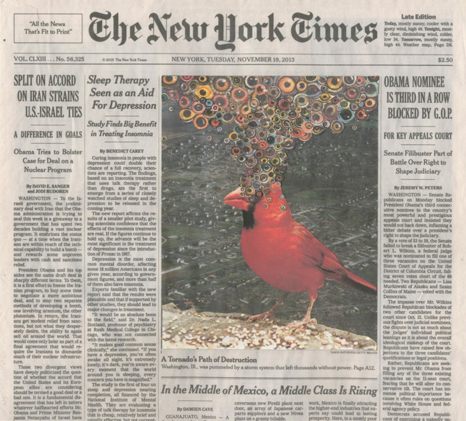 Image of FRED TOMASELLI's Nov. 19, 2013, 2014