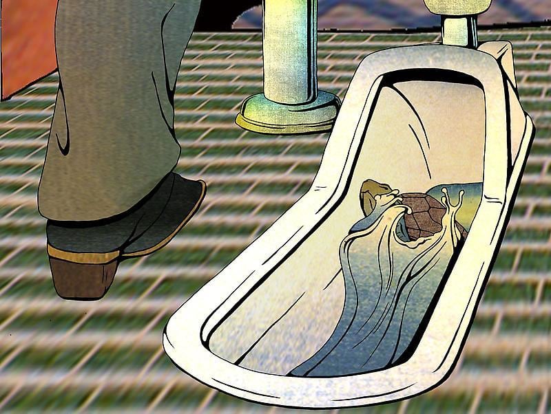 turtle emerging from a Japanese public toilet