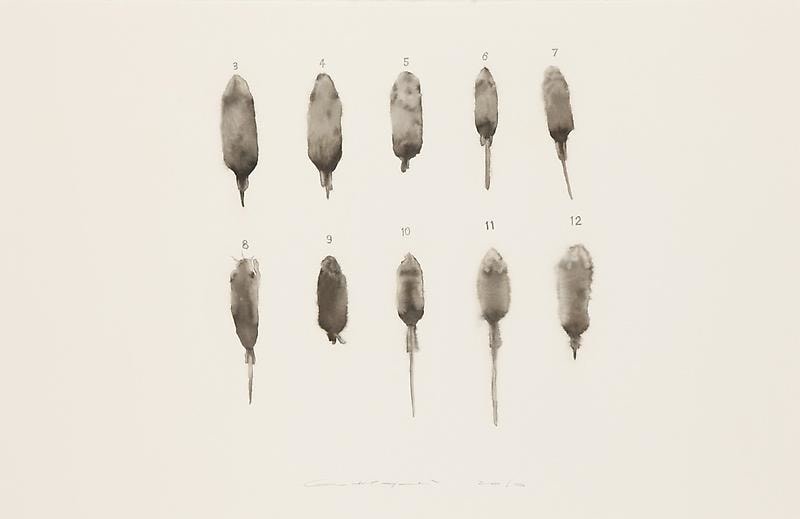 Image of GUO HONGWEI's 郭鸿蔚 Still Life #4 生物 #4, 2010