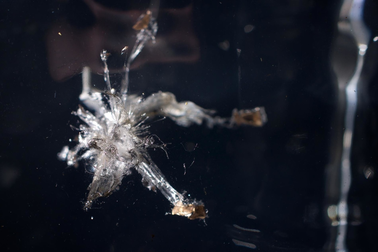 detail of THE PROPELLER GROUP's AK47 vs. M16, 2015