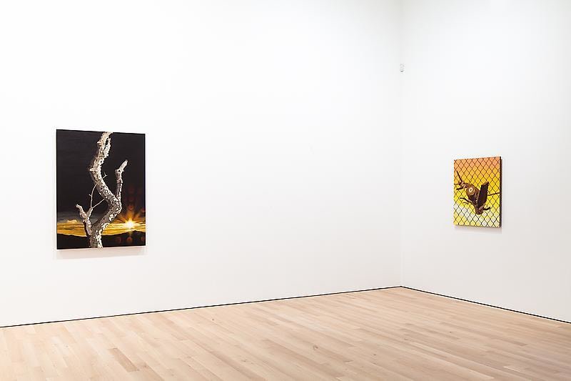 installation view of two artworks