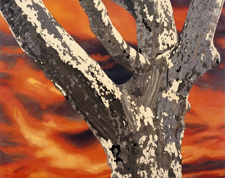 ALISON ELIZABETH TAYLOR