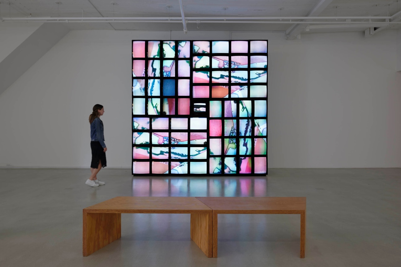 installation view of an artwork