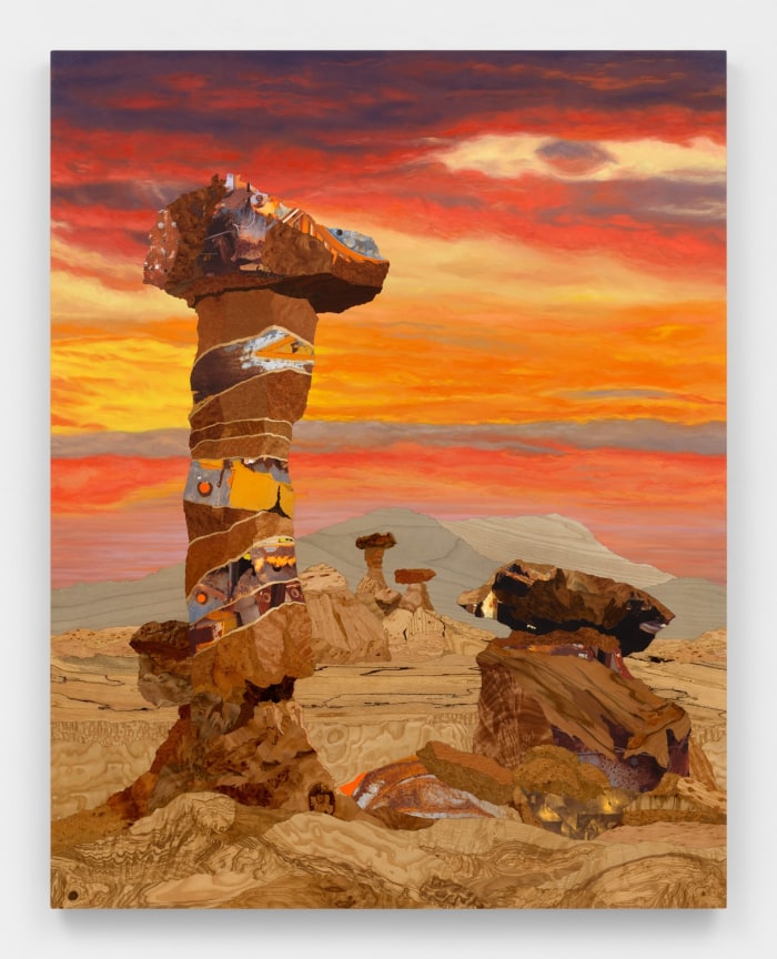 Image of ALISON ELIZABETH TAYLOR's GSENM: Toadstools, 2023