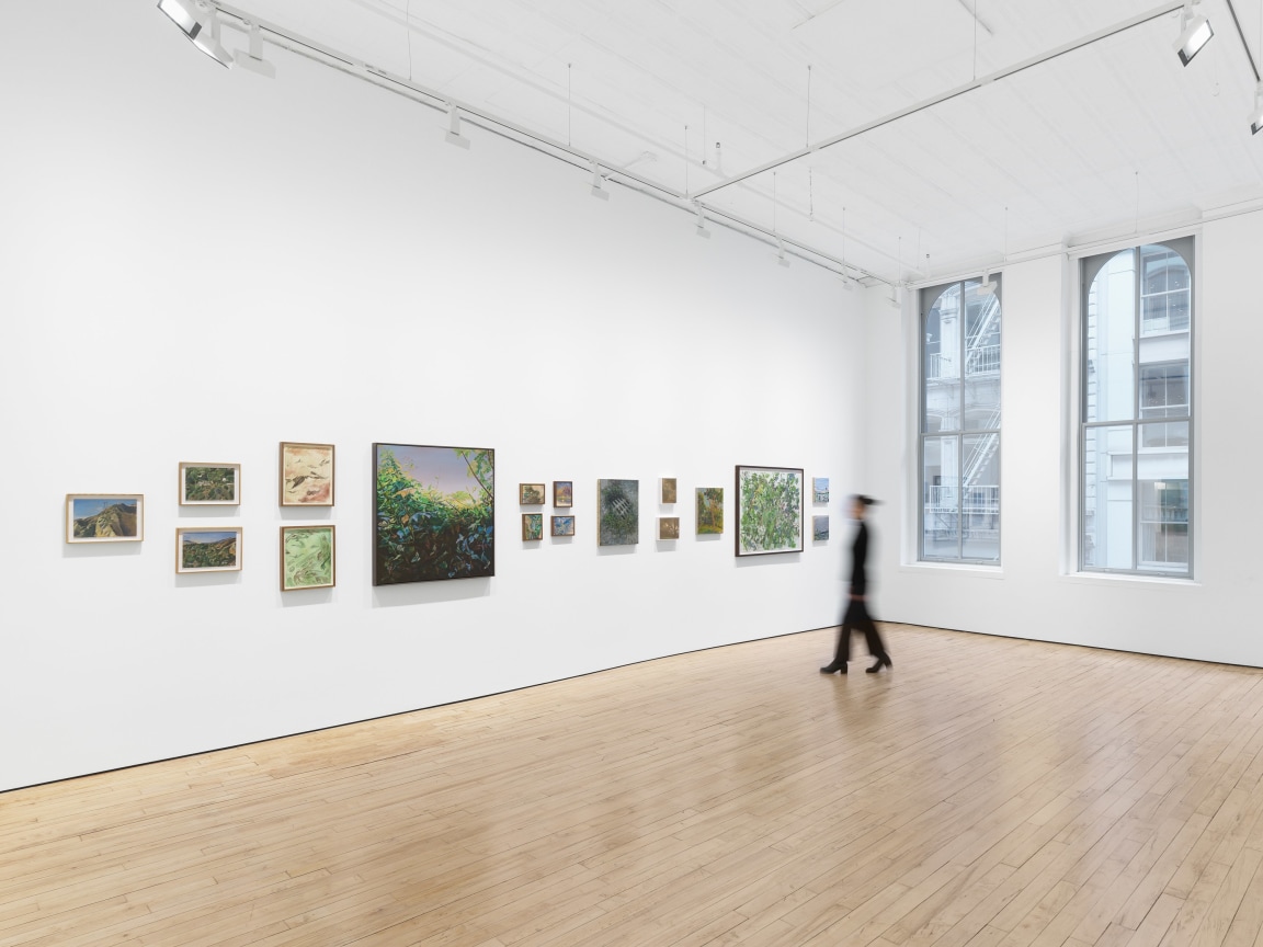 Installation view, Arcadia and Elsewhere, James Cohan, 52 Walker Street, NY, January 12 - February 10, 2024