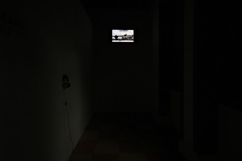 image of a small video recording being shown in the dark