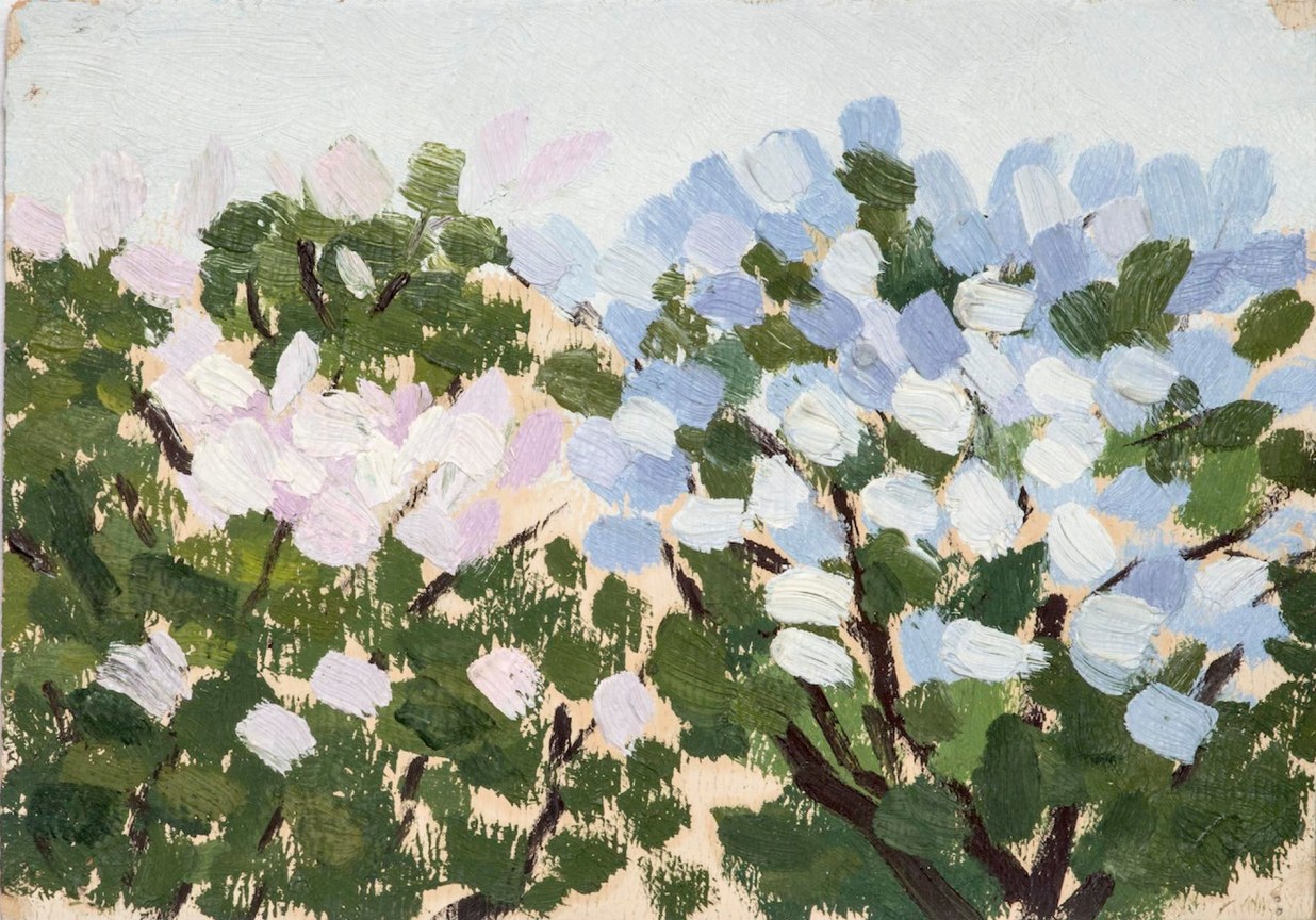 light pink and blue flowers