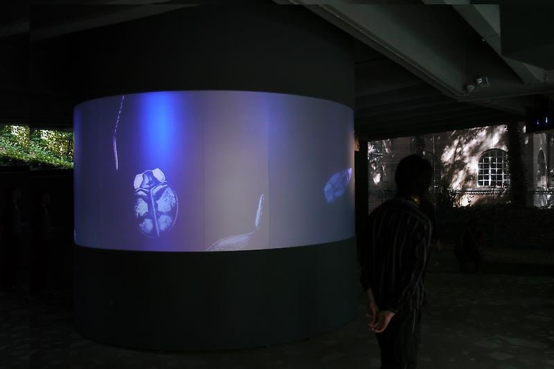 Image of Tabaimo's Teleco-soup, 2011