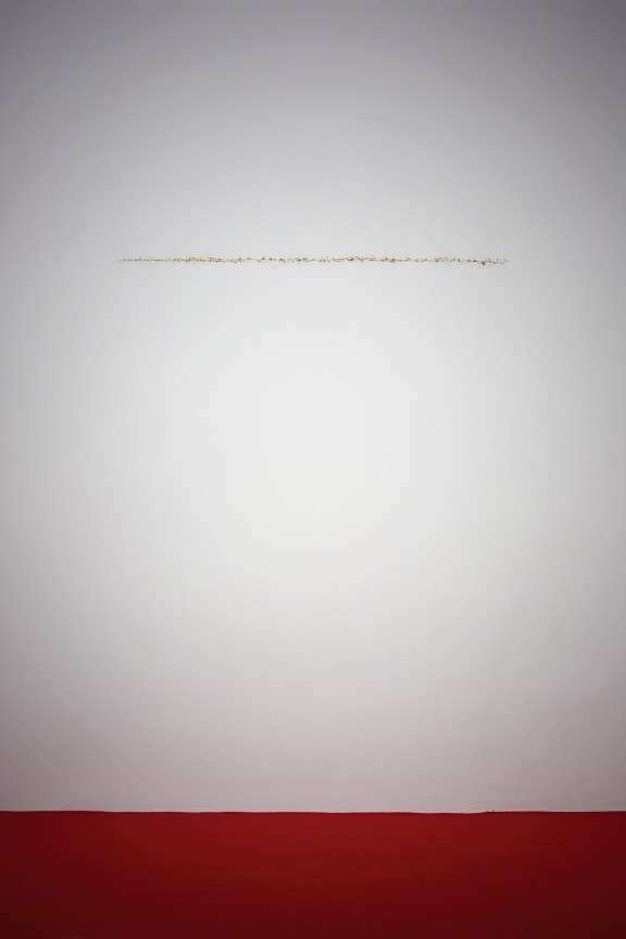 TERESA MARGOLLES En la Herida