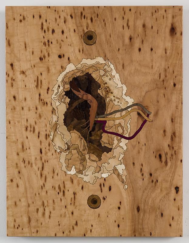 Image of ALISON ELIZABETH TAYLOR's Exterior Wires, 2010