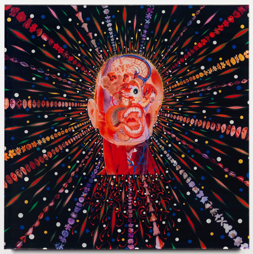 Fred Tomaselli　フレッド・トマセリ FRED TOMASELLI: Cyclopticon - Surface-mounted pigment print