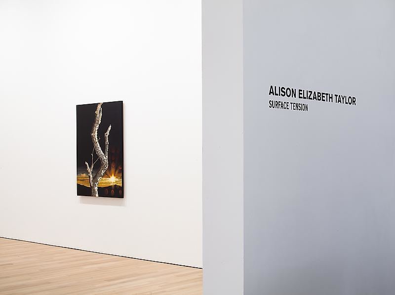 vinyl on wall with view of one artwork