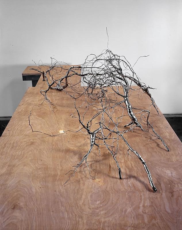 Image of ROXY PAINE's Model for Maelstrom, 2009