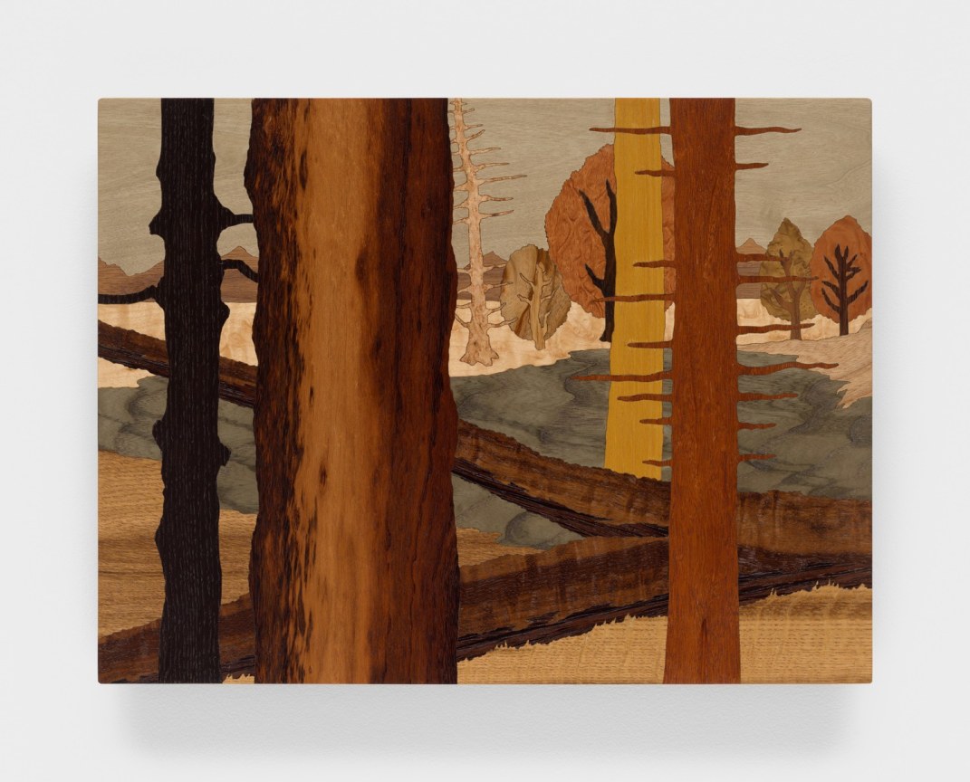 Image of ALISON ELIZABETH TAYLOR's &quot;Still Yesterday,&quot; 2014