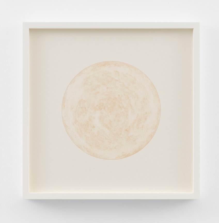 Image of KATIE PATERSON's O V, 2023