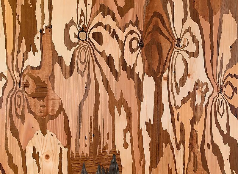 Detail of ALISON ELIZABETH TAYLOR's The Optimist's Ennui, 2013