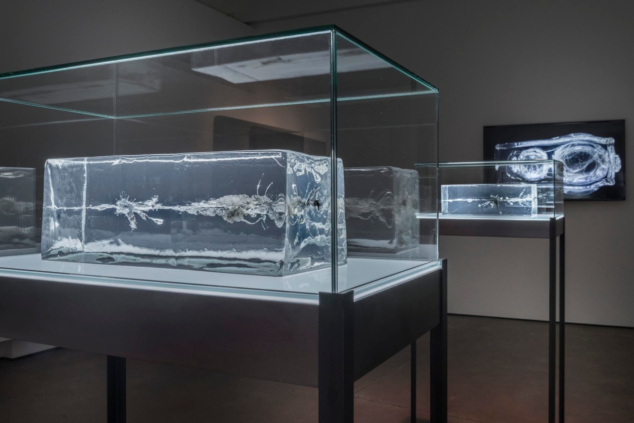 installation view of THE PROPELLER GROUP's AK47 vs. M16, 2015